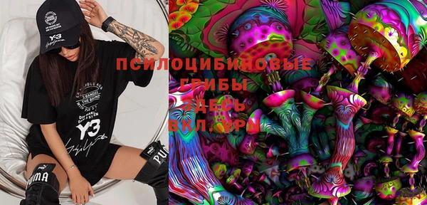 прущие грибы Абдулино