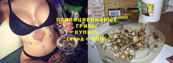 прущие грибы Абдулино